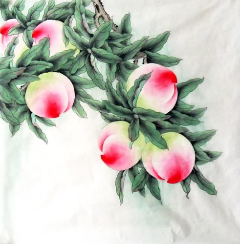 Peach,66cm x 66cm(26〃 x 26〃),2336130-z