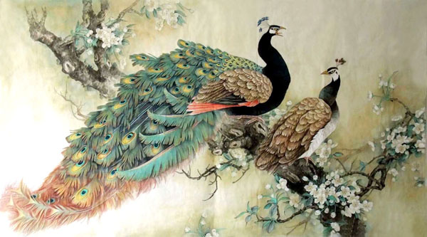 Peacock Peahen,96cm x 170cm(38〃 x 67〃),2352030-z