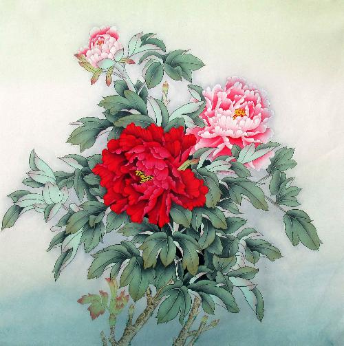 Peony,66cm x 66cm(26〃 x 26〃),2324015-z