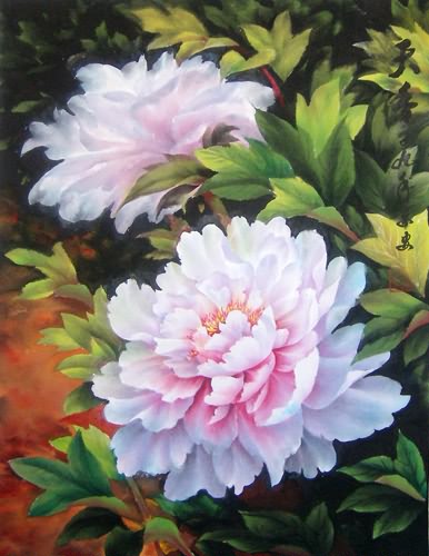 Peony,34cm x 46cm(13〃 x 18〃),2328016-z