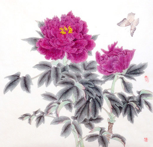 Peony,62cm x 62cm(24〃 x 24〃),2389009-z