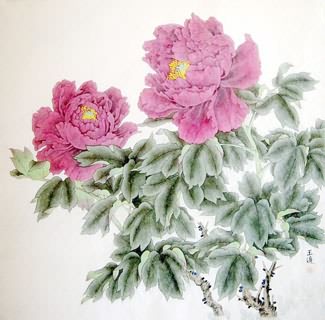 Chinese Peony Painting,66cm x 66cm,2389016-x