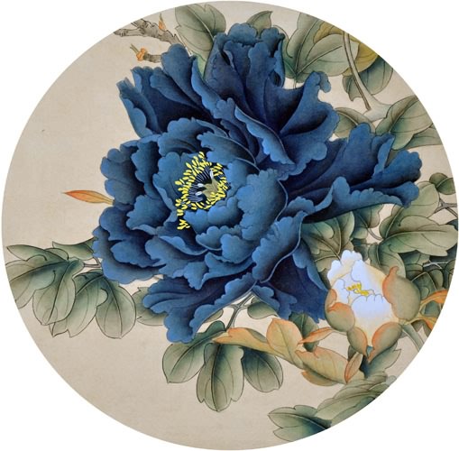 Peony,38cm x 38cm(15〃 x 15〃),2416012-z