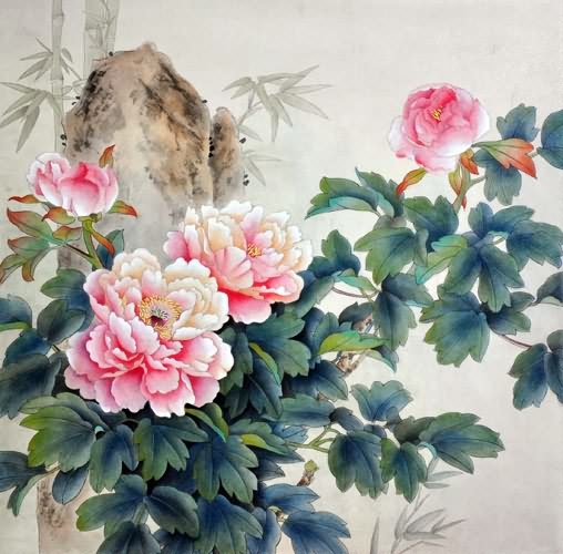 Peony,50cm x 50cm(19〃 x 19〃),2416014-z