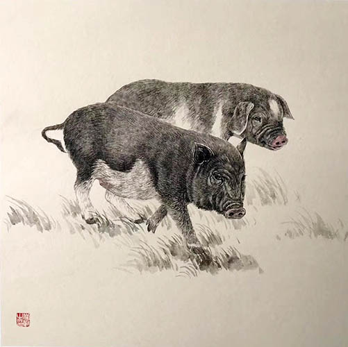 Pig,50cm x 50cm(19〃 x 19〃),lbz41082025-z