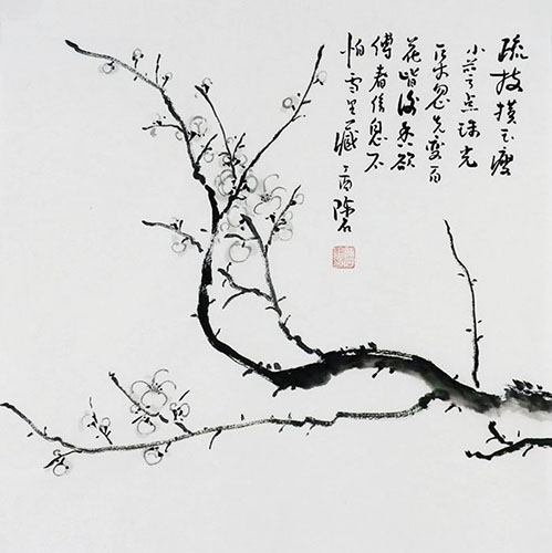 Plum Blossom,50cm x 50cm(19〃 x 19〃),2407050-z