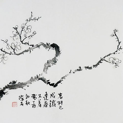 Plum Blossom,50cm x 50cm(19〃 x 19〃),2407058-z