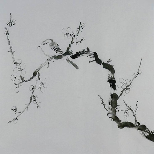 Plum Blossom,50cm x 50cm(19〃 x 19〃),2407092-z