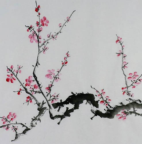 Plum Blossom,50cm x 50cm(19〃 x 19〃),2407095-z