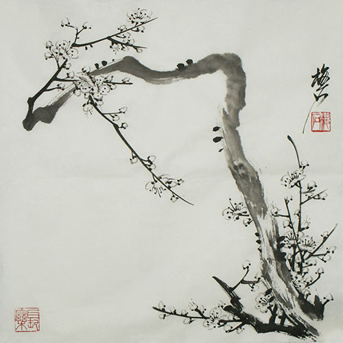 Plum Blossom,34cm x 34cm(13〃 x 13〃),ms21139058-z