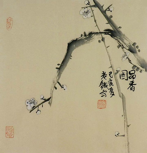 Plum Blossom,34cm x 34cm(13〃 x 13〃),tl21140009-z