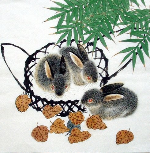 Rabbit,50cm x 50cm(19〃 x 19〃),4680006-z