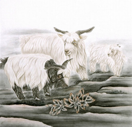 Sheep,66cm x 66cm(26〃 x 26〃),4620005-z