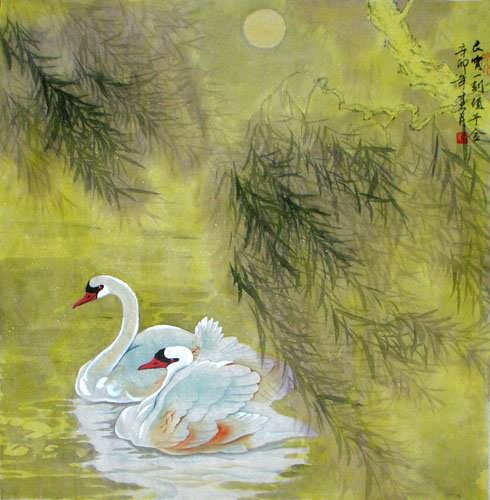 Swan,69cm x 69cm(27〃 x 27〃),2695024-z