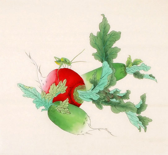 Vegetables,50cm x 50cm(19〃 x 19〃),2340125-z