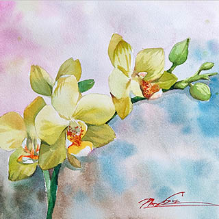 Flowers & Bird Watercolor Painting,38cm x 38cm,pz72109009-x